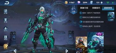 小王新皮肤爆料视频大全,视觉盛宴，尽享游戏魅力